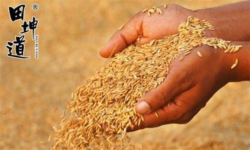 森林巨人的成长故事