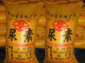 注意事项：携手有讲究