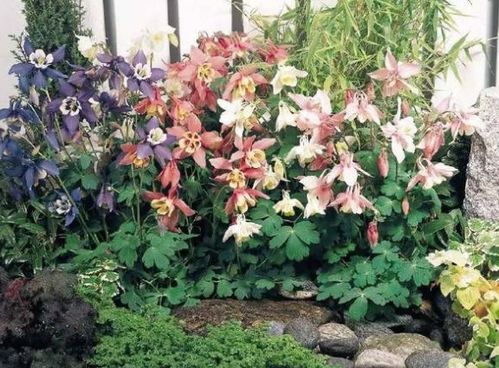 播种时间，你选对了吗？