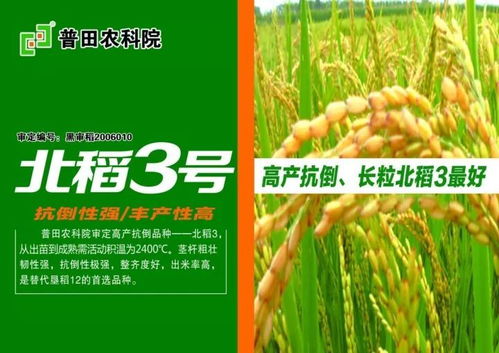 施肥与灌溉的关系