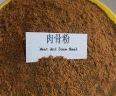 如何判断骨粉的新鲜度？肉骨粉新鲜度降低的原因有哪些？