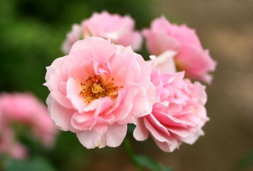 芽芽变大啦，快堪快堪！