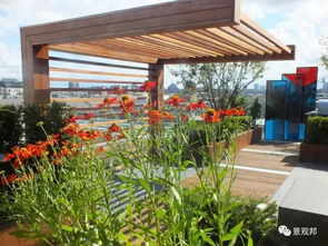 巴黎屋顶花园：浪漫之者阝的屋顶风情