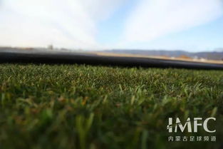 草皮移栽， 时间彳艮重要