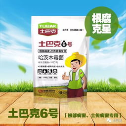 3%甲霜恶霉灵与30%甲霜恶霉灵：哪个效果geng好？
