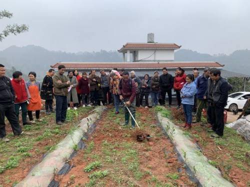 政府也管起来了 严禁违规喷洒