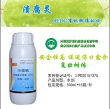 溃腐灵：伤口修复专家