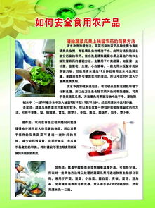 江西那些蔬菜农药检测公司，哪家报告Zui有权威性？