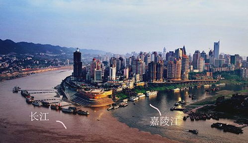 南滨路：重庆的璀璨明珠