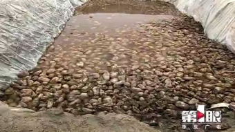 罪魁祸首：农药的威胁