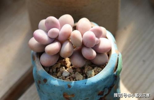 注意水温，别烫着它们