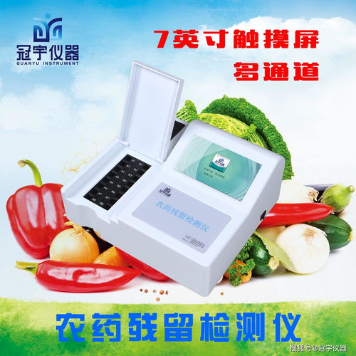 收费标准是多少？