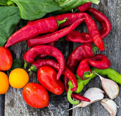 青菜出苗喷农药的疑惑解答