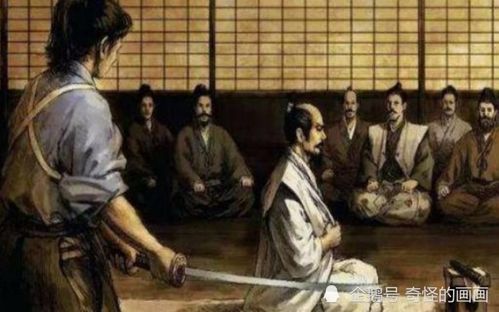 切腹接的成果展示