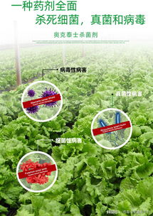 一、西安杀菌剂残留量检测标准探秘