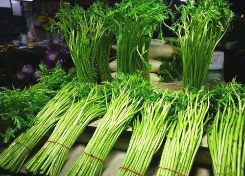 汉菜种植技术详解