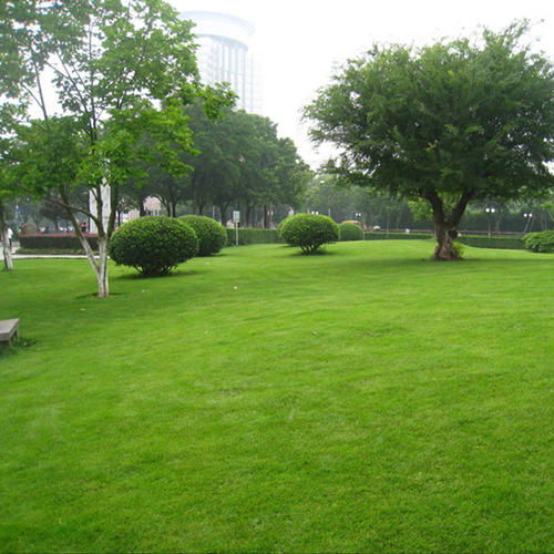 3. 宣传教育，提高意识