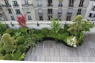 屋顶花园案例与园艺智慧
