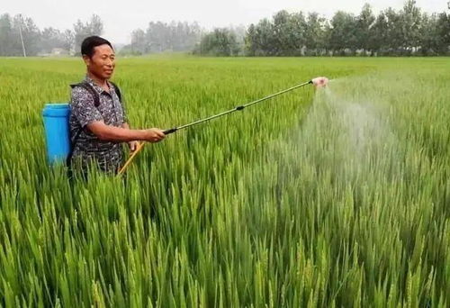 注意农药的剂量