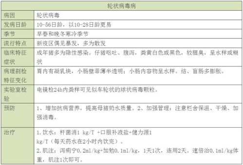 母猪流产病因病机解析，临床特征如何识别