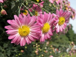 探索自然的奇妙之旅