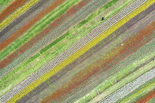 为啥胶泥地这么容易板结呢？