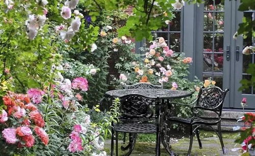 耐寒区分布：了解自己所在城市是几区