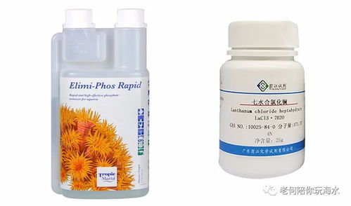 乙草胺在小豆种植中的应用