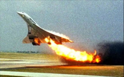 品种繁多，各有特色