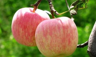 一喷红的价格， 便宜得让人心动