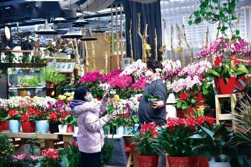 天虹旧址过渡市场