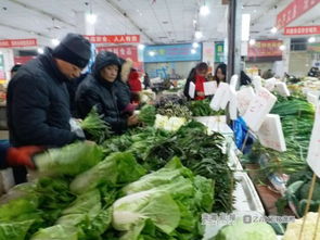 茶陵有机茶油价格一览：安徽市场一斤多少钱？