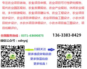 高州市政府的扶持， 助力荔枝产业发展