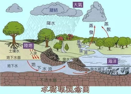 揭秘水循环：儿童版农业知识普及