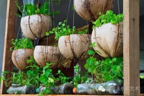 种菜过起自给自足的生活