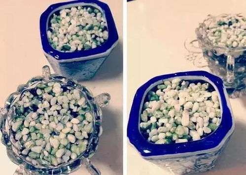 柚子种子如何处理才能发芽？