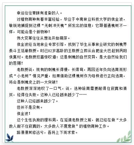 六、为了保证香樟的移栽成活率，针对冬季移栽难这一问题，主要把握住了以下几个技术环节：