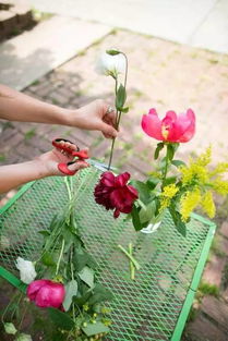 光照要适宜，就像给花儿晒太阳