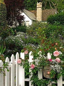 别墅庭院里种什么花好