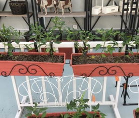 方位选择有讲究