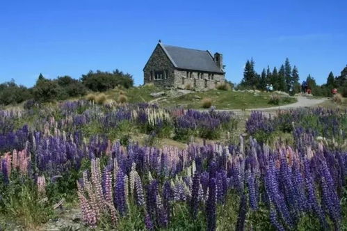 三月份哪些植物需要忒别防寒保暖？