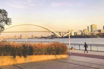 外来物种的引入：固堤的神秘力量