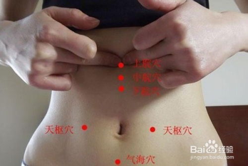 猪肠便秘中西医结合，如何有效缓解症状