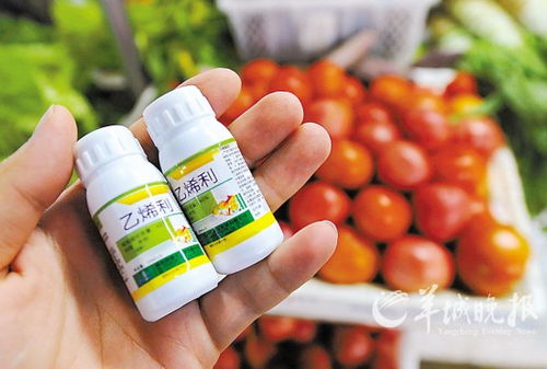 苹果催熟剂中常用的化学物质是什么？