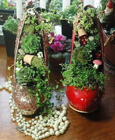 花枝如何巧妙嵌入花盆中，稳固又美观