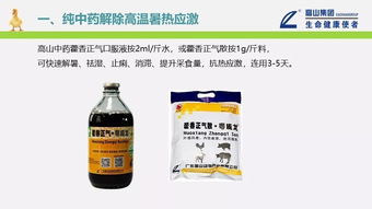 雷逹Raid欧丽嘉慧仲安速：价格实惠， 效果显著