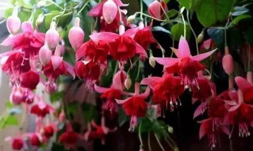 一、选择合适的时间