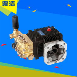 洗车新宠：打农药柱塞泵，真的好用吗？