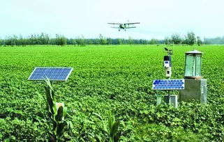 草甘膦：简单粗暴的杀手