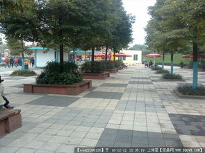 常用的铺装材料有哪些